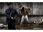 amnesty-archery amnesty-archery