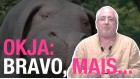 couv chronique André Gunthert : Okja couv chronique André Gunthert : Okja