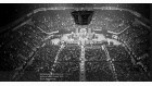 MSG 1934 MSG 1934