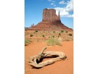 © rocailleurs - Fotolia.com © rocailleurs - Fotolia.com