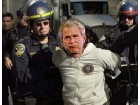 Bush arrêté Bush arrêté