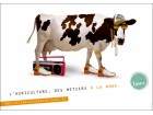vache-01 vache-01