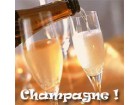 Champagne ! Champagne !