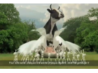 Le lait Le lait