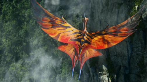 Toruk Toruk