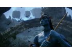 Avatar Avatar