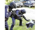 Mouffette attaque Mouffette attaque