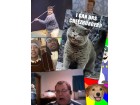 Memes montage Memes montage