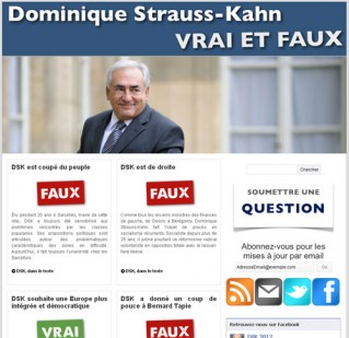 Le Vrai faux DSK a un site
