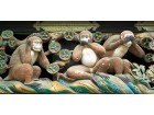 singes sagesse singes sagesse