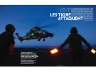 Des Tigre à la Une Des Tigre à la Une
