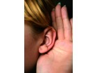 oreille_-_Fotolia__studiogriffon.com_-_Fotolia.com oreille_-_Fotolia__studiogriffon.com_-_Fotolia.com