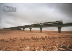 Antilopes, Tibet, Train Antilopes, Tibet, Train