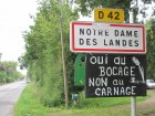 IMG_1587 IMG_1587