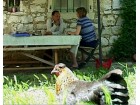 couv-rabhi_2 couv-rabhi_2