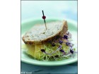 sandwich hollandais sandwich hollandais