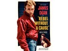 Rebel whitout a cause Rebel whitout a cause