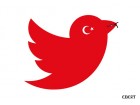 Twitt1 Twitt1