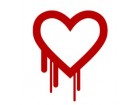 heartbleed heartbleed