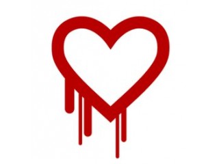 heartbleed heartbleed