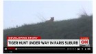 tigre cnn tigre cnn