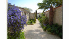 Ile-de-Ré Ile-de-Ré