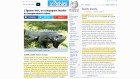 nouveau media nouveau media