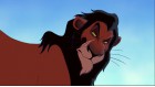 Scar Valls Scar Valls