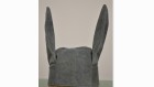 bonnet d'âne bonnet d'âne