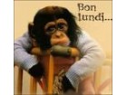 lundi lundi