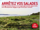 nouveau media nouveau media