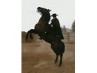 zorro zorro