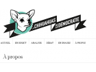 chihuahua chihuahua