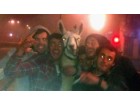 Serge le lama Serge le lama
