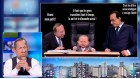 Macron Guignols Macron Guignols