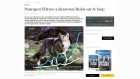 challenges abattage loups challenges abattage loups