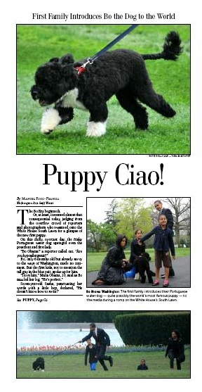 Washington Post, Bo,