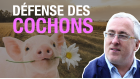 nouveau media nouveau media