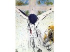dali-tolle dali-tolle