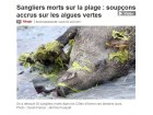 Ouest France sangliers algues Ouest France sangliers algues