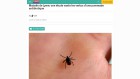 Lyme Sciences et avenir Lyme Sciences et avenir