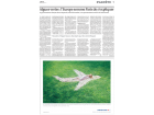 Le Monde, algues Le Monde, algues