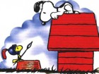 Niche_snoopy Niche_snoopy